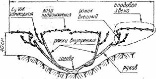 Приземный двухсторонний кордон