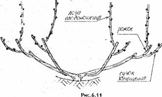 рис.6.11